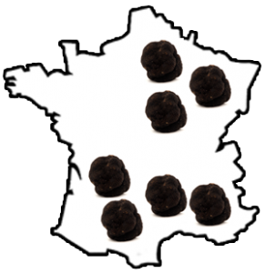 Truffes et régions de récolte en France