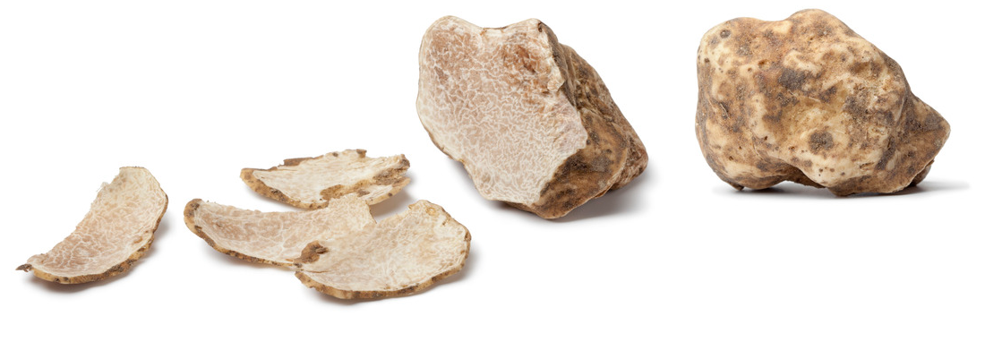 Truffe blanche : truffe d'Alba, récolte, achat et recettes